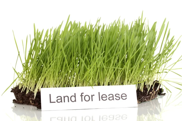 Green grass with ground as concept of land sale isolated on white — Stock Photo, Image