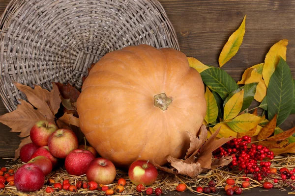 Excellente nature morte d'automne avec citrouille sur paille sur fond en bois — Photo