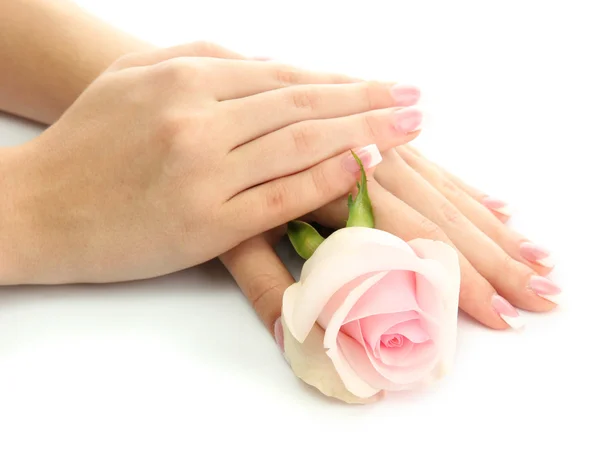 Mooie vrouw handen met roos, geïsoleerd op wit — Stockfoto