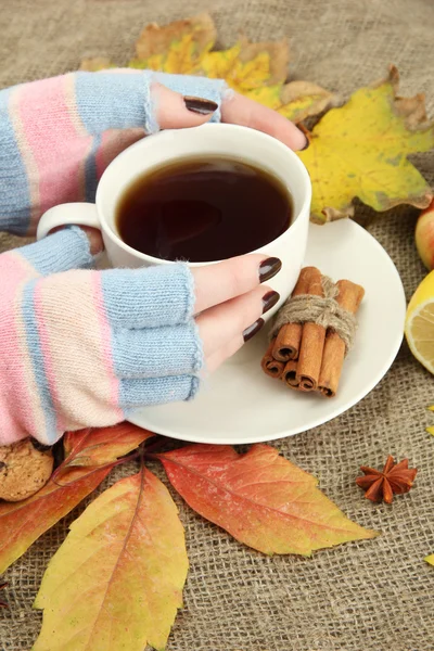 Manos sosteniendo taza de bebida caliente y hojas de otoño, sobre fondo de arpillera — Foto de Stock