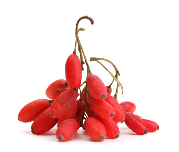 Ripe barberries on branch isolated white — Stock Photo, Image