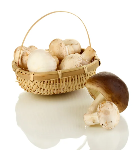 Verse champignons in mand geïsoleerd op wit — Stockfoto