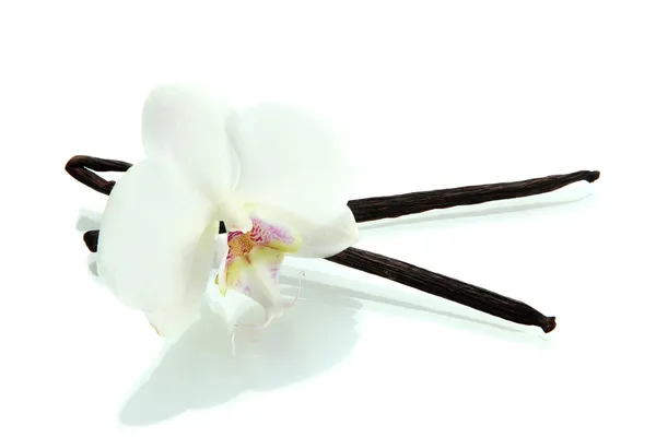 Vanilla pods with flower isolated on white — Stock Photo, Image