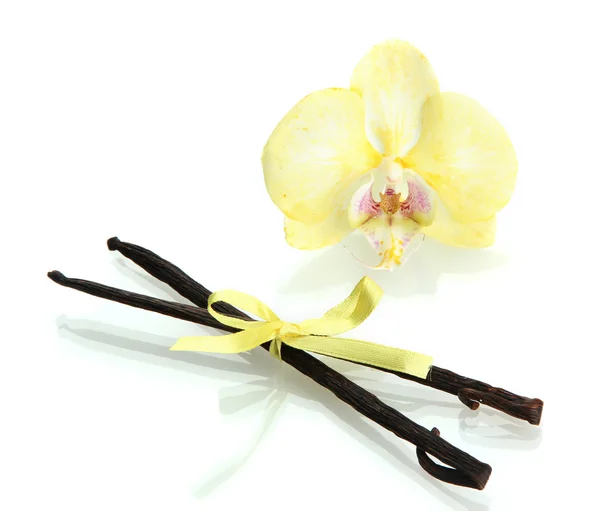 Vanilla pods with flower isolated on white — Stock Photo, Image