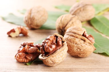 Ceviz ahşap zemin üzerine yeşil yaprakları ile