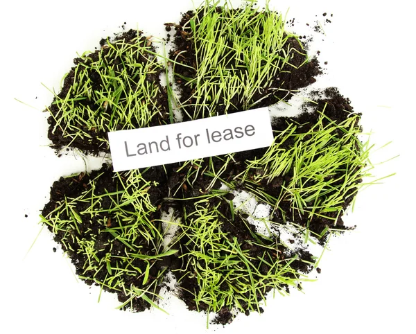 Green grass with ground as concept of land sale isolated on white — Stock Photo, Image