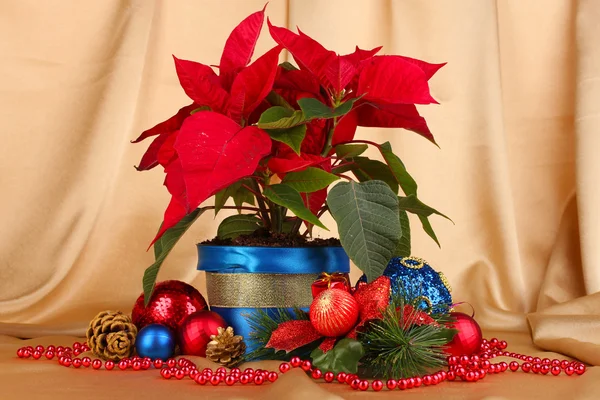 Krásné vánoční hvězda s vánoční koule na pozadí zlatých tkaniny — Stock fotografie