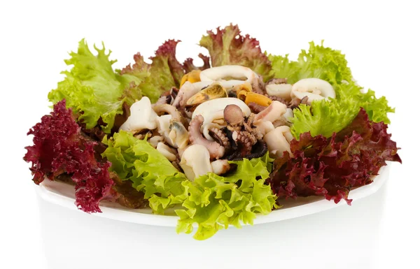 Zdravá rybí salát s garnáty, chobotnice a mušle, chobotnice, izolované na bílém — Stock fotografie