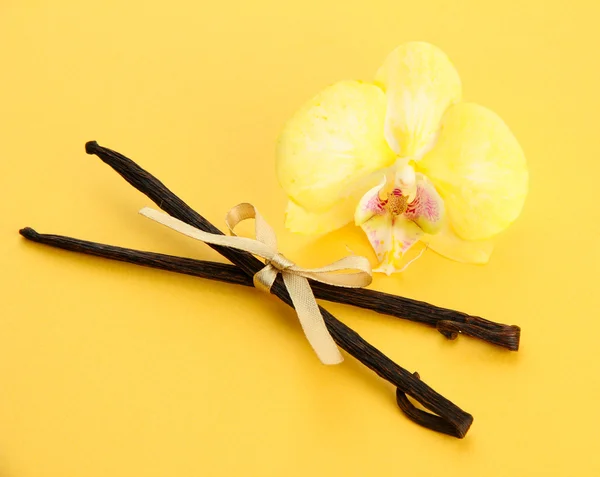 Vainas de vainilla con flor, sobre fondo amarillo — Foto de Stock