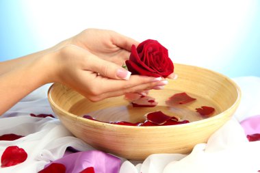 kadın eliyle su yaprakları, mavi zemin üzerine ahşap kase