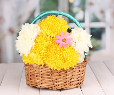 güzel krizantem sepeti ahşap tablo penceresinin arka plan üzerinde