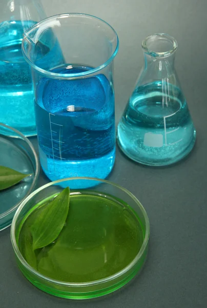 Test-tubes and leaf tested in petri dish on grey background — Stock Photo, Image