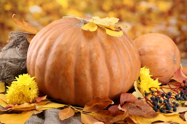 Calabazas y hojas de otoño, sobre fondo amarillo —  Fotos de Stock