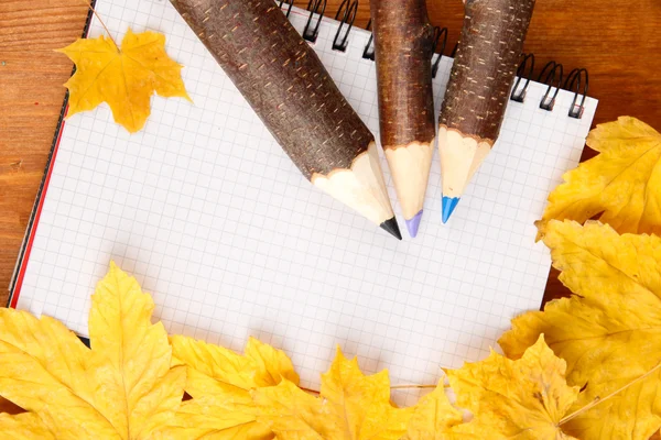 Bunte Holzstifte mit Herbstblättern auf Holztisch — Stockfoto