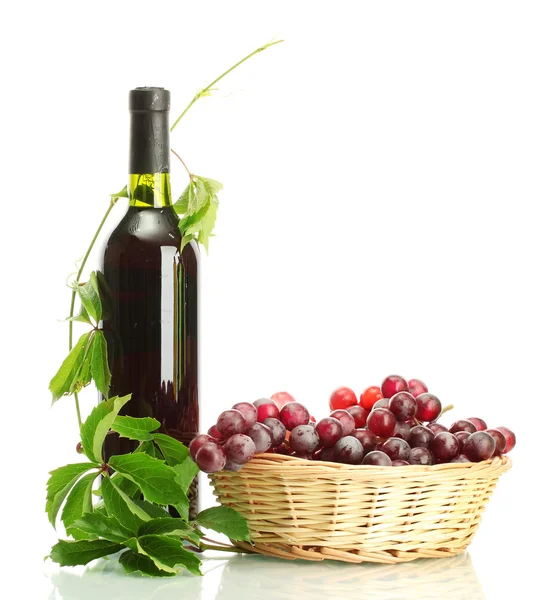 Fles wijn met druiven geïsoleerd op wit — Stockfoto