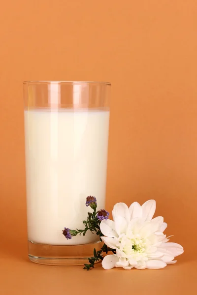 Glass of fresh new milk with white flower on brown background — Stock Photo, Image