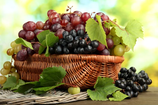 Assortment of ripe sweet grapes in basket, on green background — Stock Photo, Image