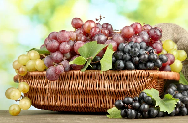 Asortyment dojrzałe słodkie winogrona w koszyku, na zielonym tle — Zdjęcie stockowe