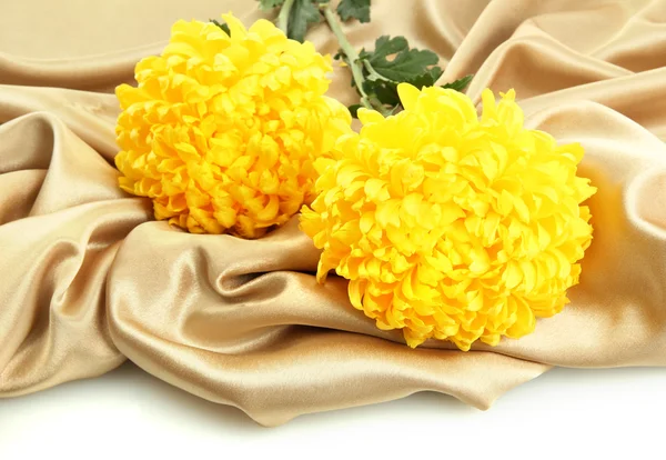 白で隔離され、布の上の明るい黄色の菊の花の花束 — ストック写真