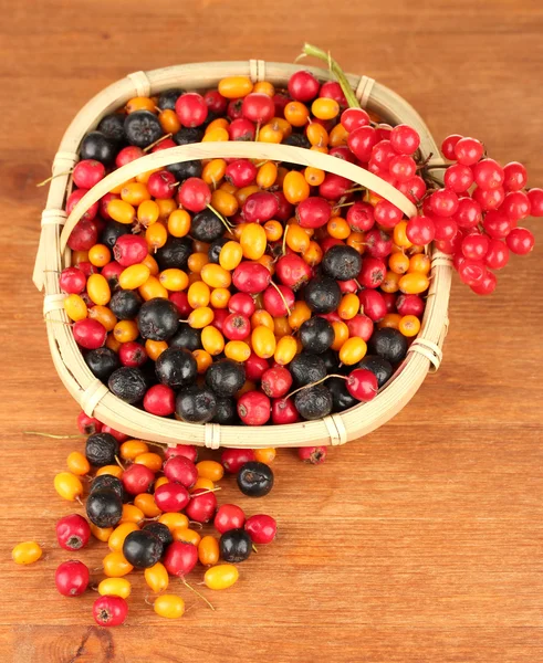 Colorful autumn berries in wicker basket on wooden background close-up — Stock Photo, Image