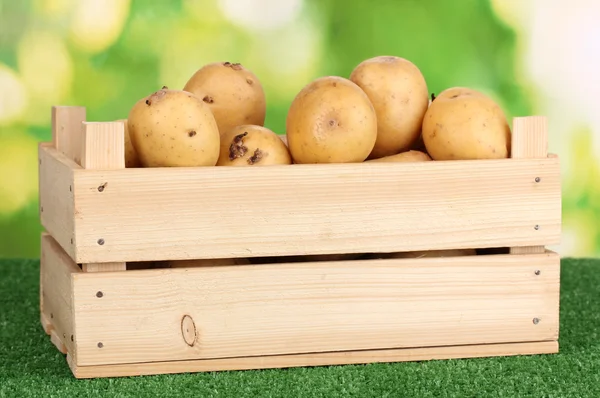 Patatas maduras en caja de madera sobre hierba sobre fondo natural — Foto de Stock