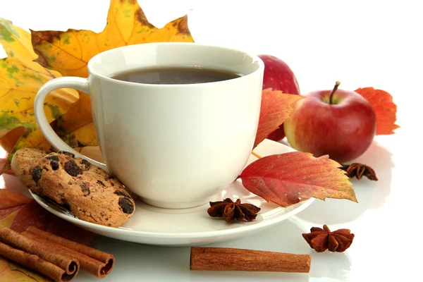 Taza de té caliente y hojas de otoño, aisladas en blanco — Foto de Stock