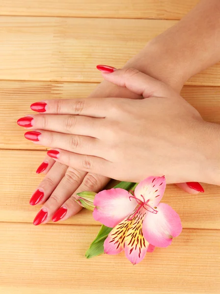 Женские руки с цветами на деревянном фоне — стоковое фото
