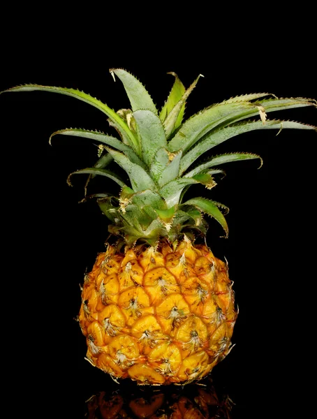 Olgun ananas siyah izole — Stok fotoğraf
