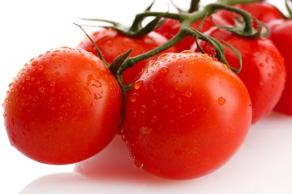 Tomates cerises sur une branche avec des gouttes isolées sur blanc — Photo