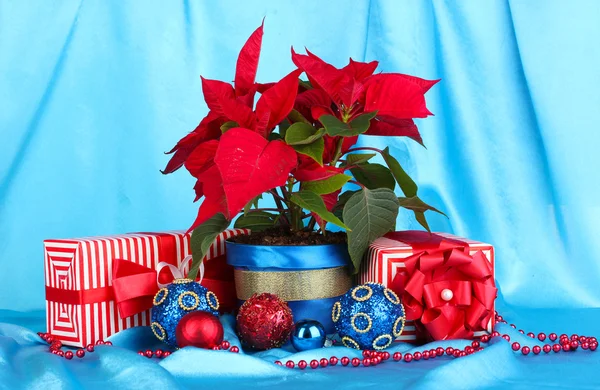 Schöner Weihnachtsstern mit Weihnachtskugeln und Geschenken auf blauem Stoffhintergrund — Stockfoto