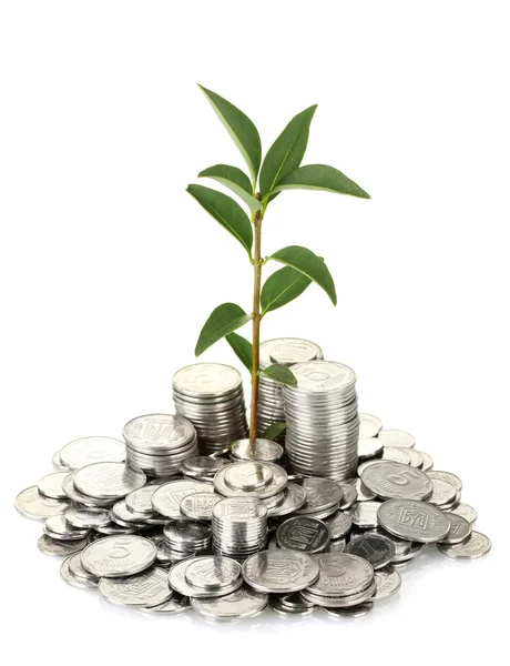 Plant growing out of silver coins isolated on white — Stock Photo, Image