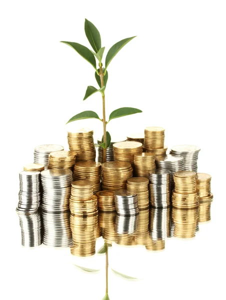 Plant groeit uit gouden en zilveren munten geïsoleerd op witte achtergrond close-up — Stockfoto