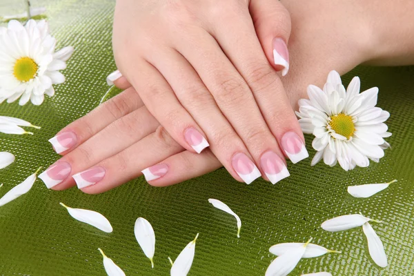 Mãos de mulher com manicure francês e flores no fundo verde — Fotografia de Stock