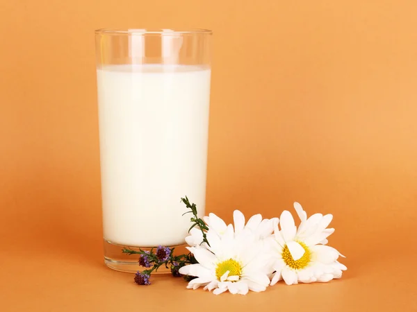 Glass of fresh new milk with white flowers on brown background — Stock Photo, Image