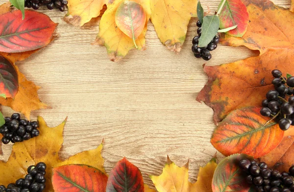 Hojas brillantes de otoño y bayas silvestres, sobre fondo de madera — Foto de Stock