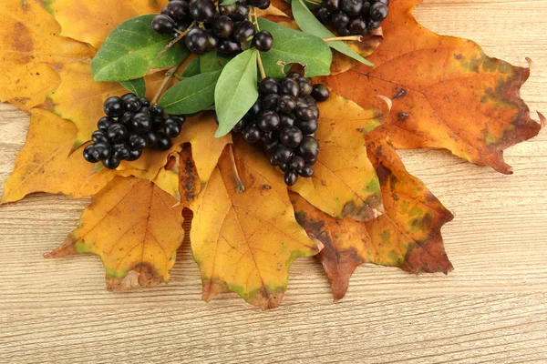 Feuilles d'automne brillantes et baies sauvages, sur fond de bois — Photo