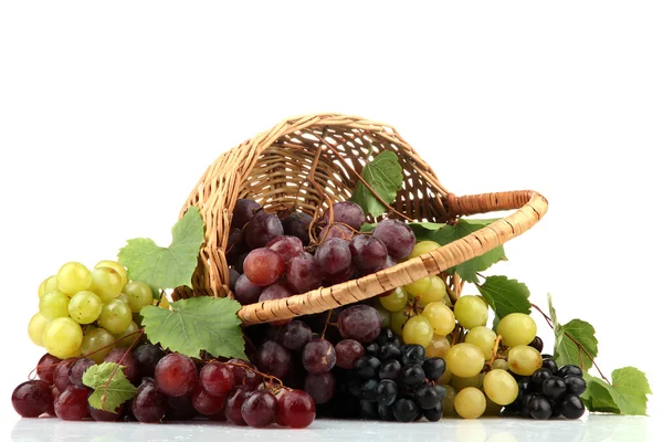 Сорт стиглого солодкого винограду в кошику, ізольований на білому — стокове фото