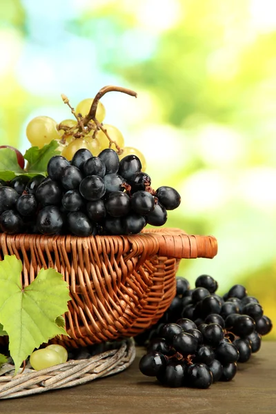 Surtido de uvas dulces maduras en cesta, sobre fondo verde —  Fotos de Stock