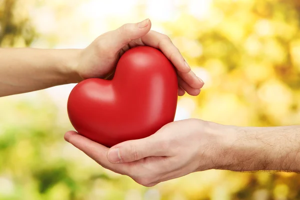 Red heart in woman and man hands, on green background — Stock Photo, Image