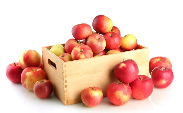Juicy apples in wooden crate, isolated on white Stock Image