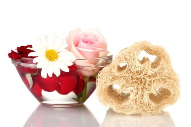 beyaz izole lif kabağı