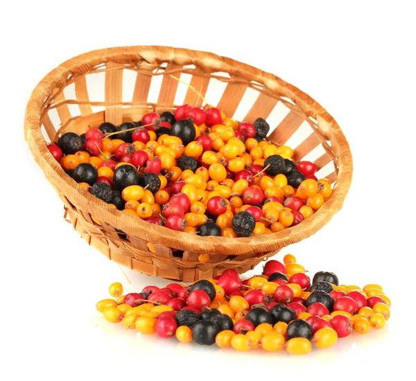 Bagas de outono coloridas em cesta de vime isoladas em branco — Fotografia de Stock