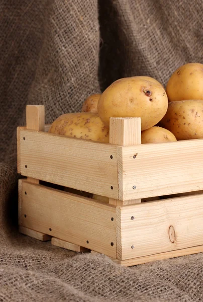 Reife Kartoffeln in Holzkiste auf Säcken — Stockfoto