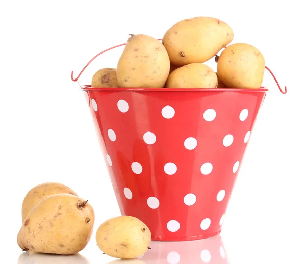 Batatas maduras em balde vermelho isolado em branco — Fotografia de Stock