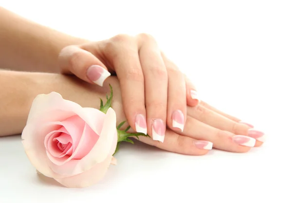 Mãos de mulher bonita com rosa, isolado em branco — Fotografia de Stock