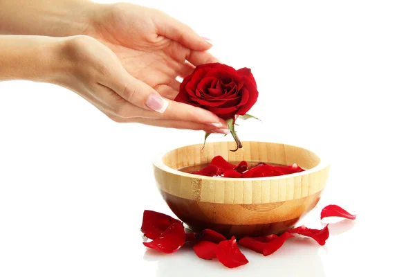 Woman hands with wooden bowl of water with petals, isolated on white — Stock Photo, Image