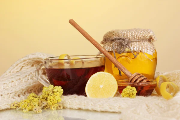 Healthy ingredients for strengthening immunity on warm scarf on yellow background — Stock Photo, Image