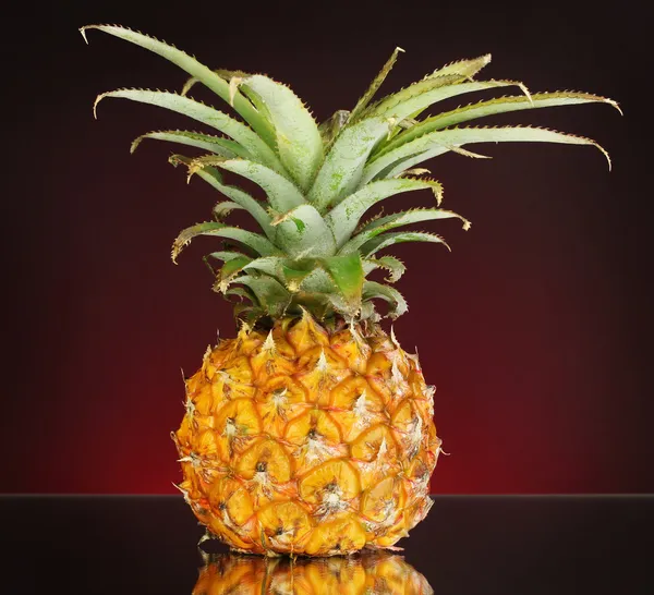 Ripe pineapple on dark red background — Stock Photo, Image