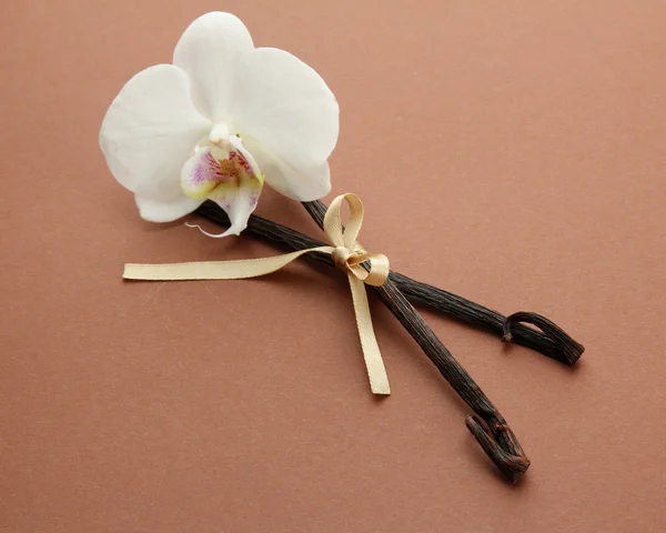 Vanilla pods with flower, on brown background — Stock Photo, Image