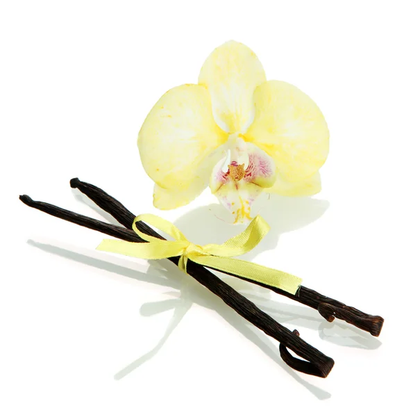 Vanilla pods with flower isolated on white — Stock Photo, Image